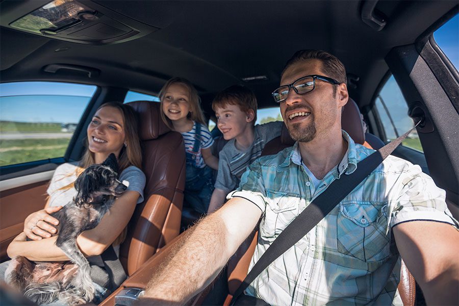 Insurance Quote - Portrait of a Cheerful Family with Two Kids and a Dog Sitting in the Car While on a Road Trip During the Summer